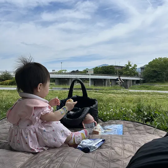 ハマっていること