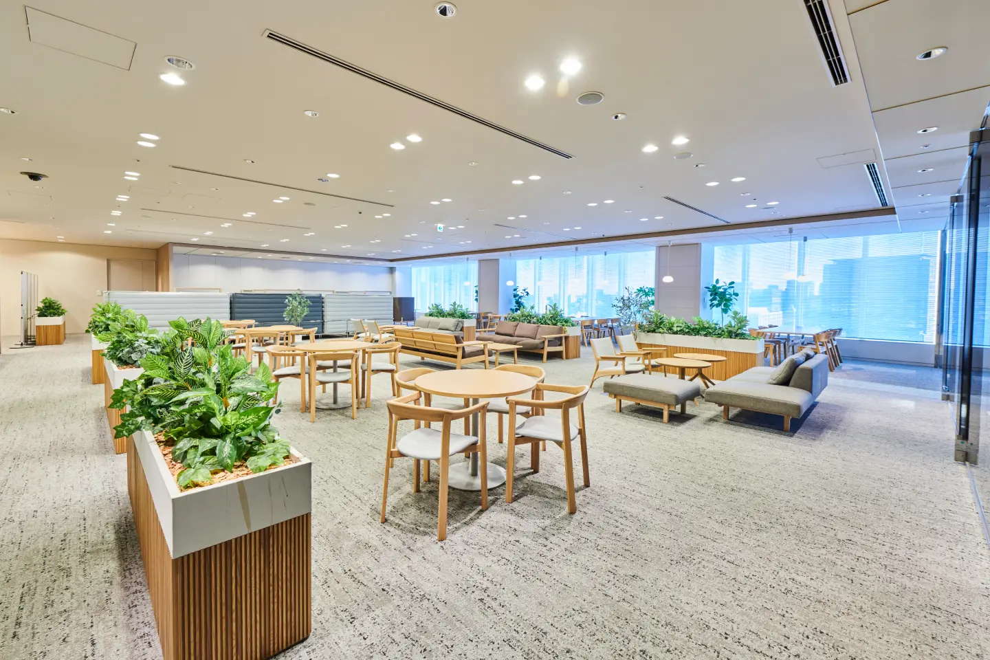 The lounge